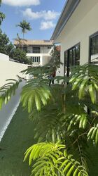 Ming Park (D20), Semi-Detached #460251481